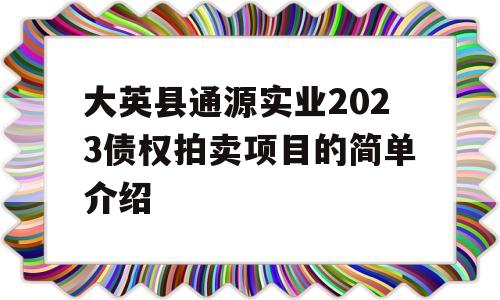 大英县通源实业2023债权拍卖项目的简单介绍