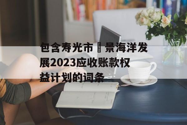 包含寿光市昇景海洋发展2023应收账款权益计划的词条