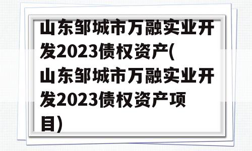 山东邹城市万融实业开发2023债权资产(山东邹城市万融实业开发2023债权资产项目)