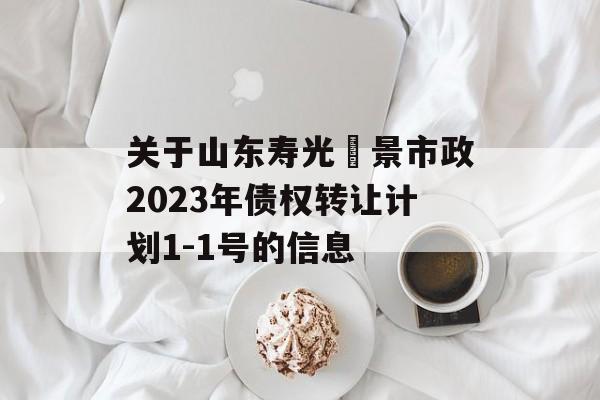 关于山东寿光昇景市政2023年债权转让计划1-1号的信息