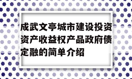 成武文亭城市建设投资资产收益权产品政府债定融的简单介绍