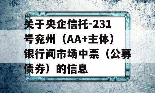 关于央企信托-231号兖州（AA+主体）银行间市场中票（公募债券）的信息