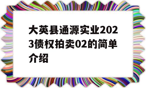 大英县通源实业2023债权拍卖02的简单介绍