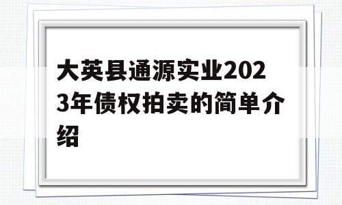 大英县通源实业2023年债权拍卖的简单介绍