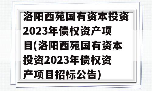 洛阳西苑国有资本投资2023年债权资产项目(洛阳西苑国有资本投资2023年债权资产项目招标公告)