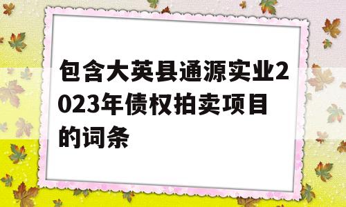 包含大英县通源实业2023年债权拍卖项目的词条