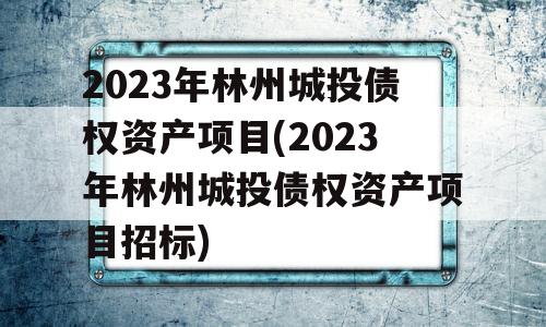 2023年林州城投债权资产项目(2023年林州城投债权资产项目招标)