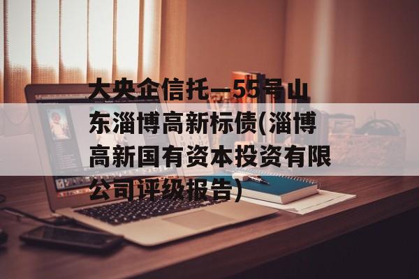 大央企信托—55号山东淄博高新标债(淄博高新国有资本投资有限公司评级报告)