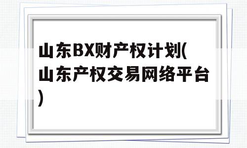 山东BX财产权计划(山东产权交易网络平台)