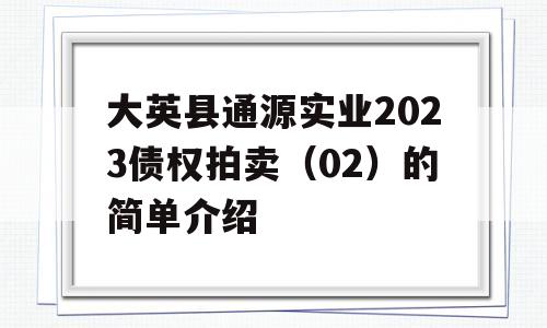 大英县通源实业2023债权拍卖（02）的简单介绍