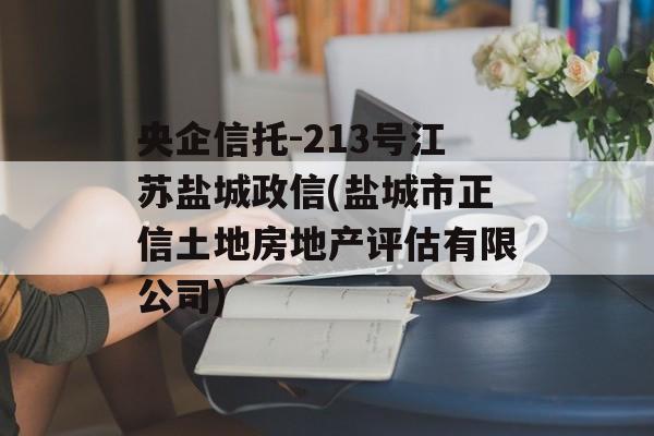 央企信托-213号江苏盐城政信(盐城市正信土地房地产评估有限公司)