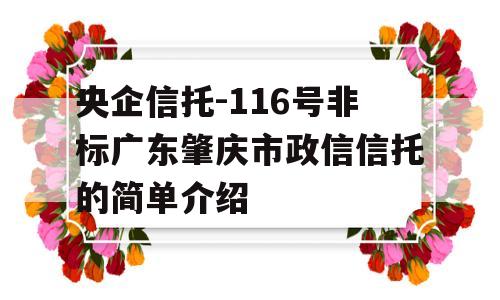 央企信托-116号非标广东肇庆市政信信托的简单介绍