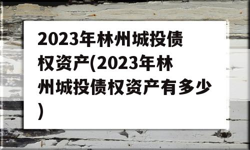 2023年林州城投债权资产(2023年林州城投债权资产有多少)