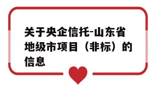 关于央企信托-山东省地级市项目（非标）的信息