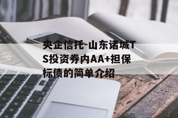 央企信托-山东诸城TS投资券内AA+担保标债的简单介绍