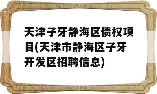 天津子牙静海区债权项目(天津市静海区子牙开发区招聘信息)