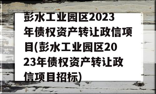 彭水工业园区2023年债权资产转让政信项目(彭水工业园区2023年债权资产转让政信项目招标)