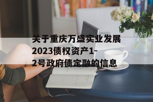 关于重庆万盛实业发展2023债权资产1-2号政府债定融的信息