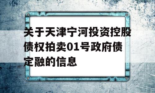 关于天津宁河投资控股债权拍卖01号政府债定融的信息