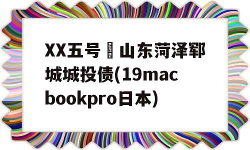 XX五号•山东菏泽郓城城投债(19macbookpro日本)