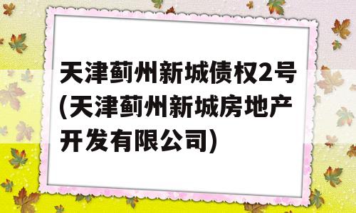 天津蓟州新城债权2号(天津蓟州新城房地产开发有限公司)