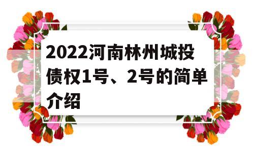 2022河南林州城投债权1号、2号的简单介绍