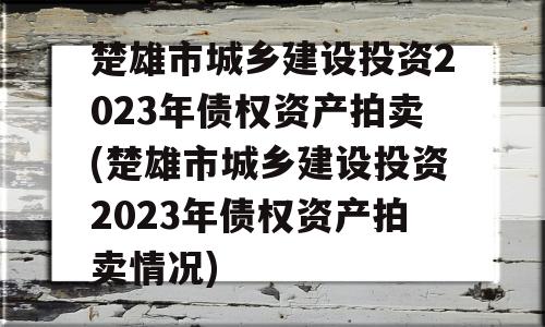 楚雄市城乡建设投资2023年债权资产拍卖(楚雄市城乡建设投资2023年债权资产拍卖情况)