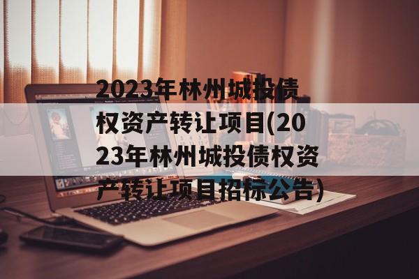 2023年林州城投债权资产转让项目(2023年林州城投债权资产转让项目招标公告)