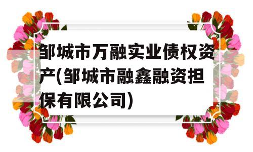 邹城市万融实业债权资产(邹城市融鑫融资担保有限公司)