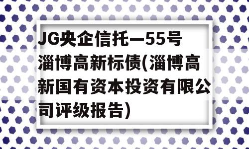 JG央企信托—55号淄博高新标债(淄博高新国有资本投资有限公司评级报告)