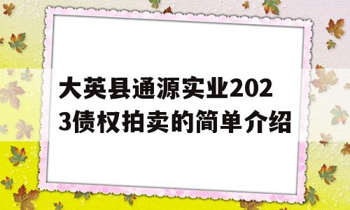 大英县通源实业2023债权拍卖的简单介绍