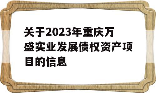 关于2023年重庆万盛实业发展债权资产项目的信息