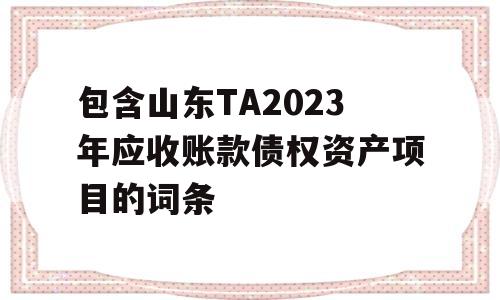 包含山东TA2023年应收账款债权资产项目的词条