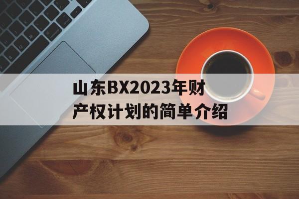 山东BX2023年财产权计划的简单介绍