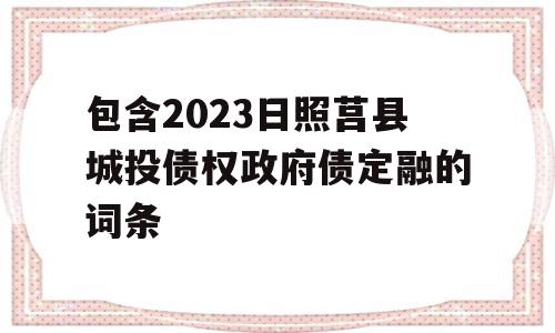 包含2023日照莒县城投债权政府债定融的词条