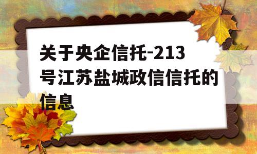 关于央企信托-213号江苏盐城政信信托的信息