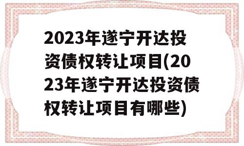 2023年遂宁开达投资债权转让项目(2023年遂宁开达投资债权转让项目有哪些)