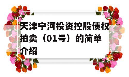 天津宁河投资控股债权拍卖（01号）的简单介绍