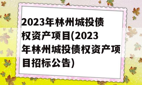 2023年林州城投债权资产项目(2023年林州城投债权资产项目招标公告)