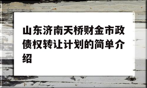 山东济南天桥财金市政债权转让计划的简单介绍