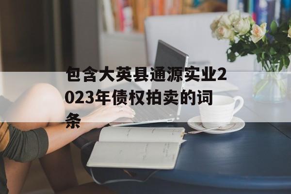 包含大英县通源实业2023年债权拍卖的词条