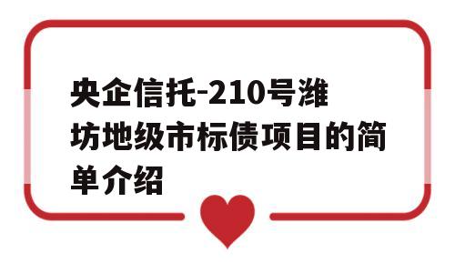 央企信托-210号潍坊地级市标债项目的简单介绍