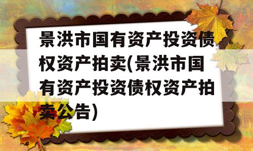 景洪市国有资产投资债权资产拍卖(景洪市国有资产投资债权资产拍卖公告)