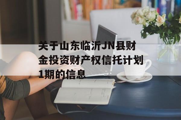 关于山东临沂JN县财金投资财产权信托计划1期的信息