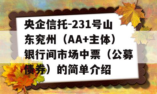 央企信托-231号山东兖州（AA+主体）银行间市场中票（公募债券）的简单介绍