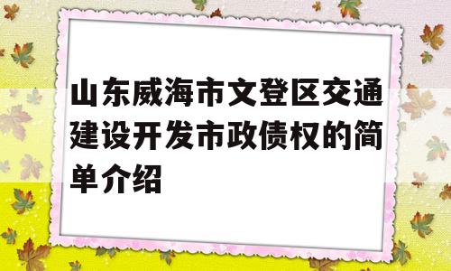 山东威海市文登区交通建设开发市政债权的简单介绍