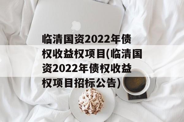 临清国资2022年债权收益权项目(临清国资2022年债权收益权项目招标公告)