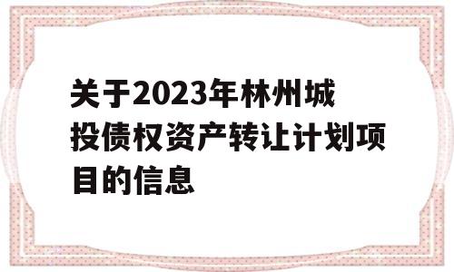 关于2023年林州城投债权资产转让计划项目的信息