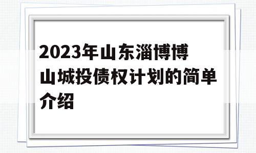 2023年山东淄博博山城投债权计划的简单介绍