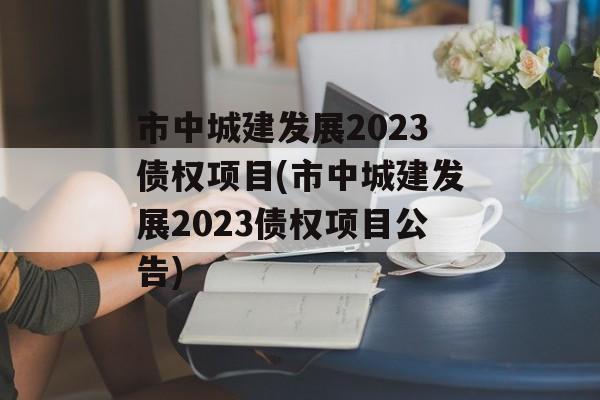 市中城建发展2023债权项目(市中城建发展2023债权项目公告)